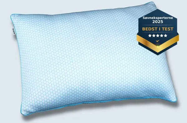 Dream hovedpude (Bedste justerbare hovedpude)