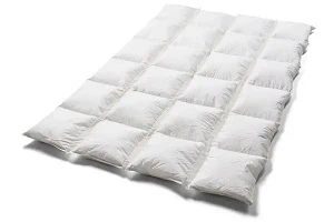 Mayan dyne (Bedst i test)